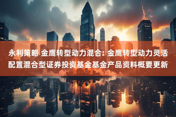 永利策略 金鹰转型动力混合: 金鹰转型动力灵活配置混合型证券投资基金基金产品资料概要更新