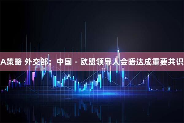 A策略 外交部：中国－欧盟领导人会晤达成重要共识