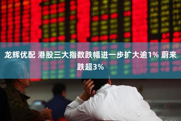 龙辉优配 港股三大指数跌幅进一步扩大逾1% 蔚来跌超3%