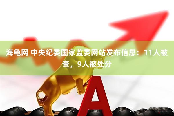 海龟网 中央纪委国家监委网站发布信息：11人被查，9人被处分