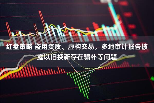 红盘策略 盗用资质、虚构交易，多地审计报告披露以旧换新存在骗补等问题