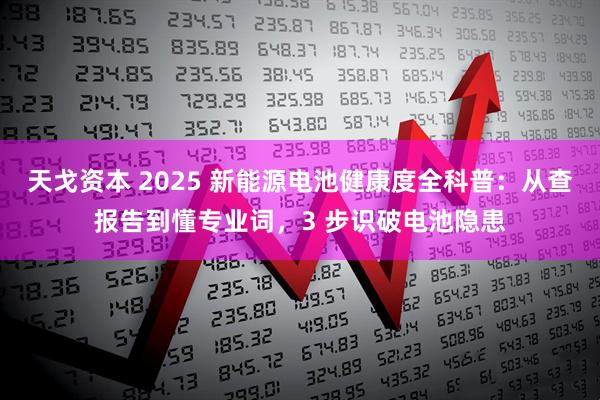 天戈资本 2025 新能源电池健康度全科普：从查报告到懂专业词，3 步识破电池隐患